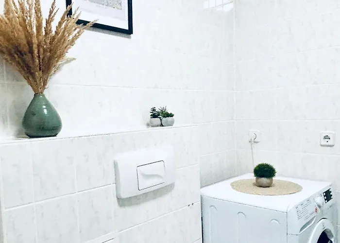 Daire Sh-apartments - Beautiful Isa - Ruhig & Zentral Erfurt